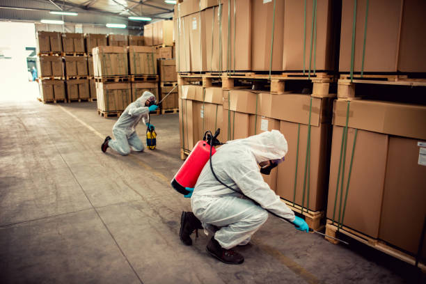 Pest Prevention Services in Brookfield Center, OH