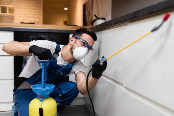Best Best Pest Control Companies  in Brookfield Center, OH