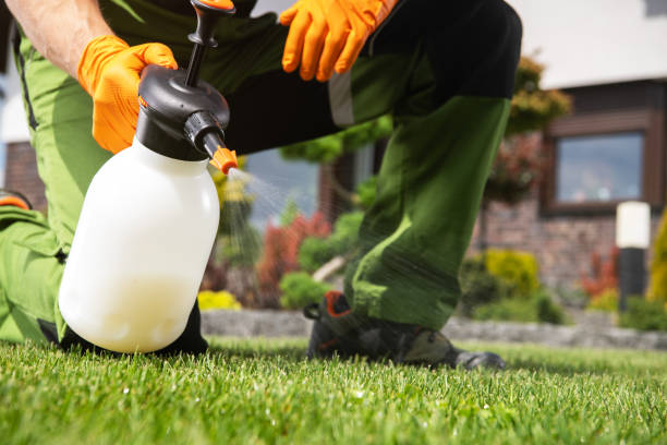 Best Affordable Pest Control Services  in Brookfield Center, OH