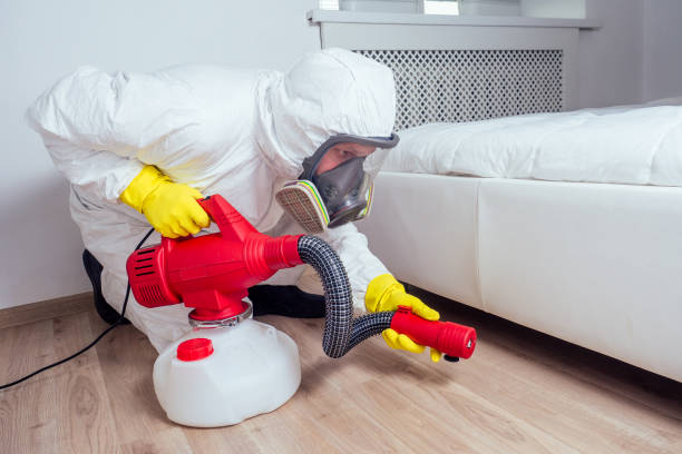 Best Ant Control Services  in Brookfield Center, OH