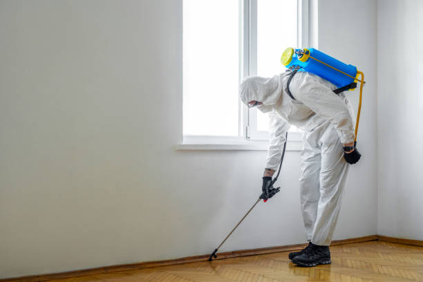 Best Cockroach Control Services  in Brookfield Center, OH