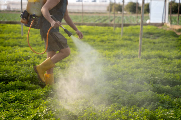 Best Best Pest Control Companies  in Brookfield Center, OH