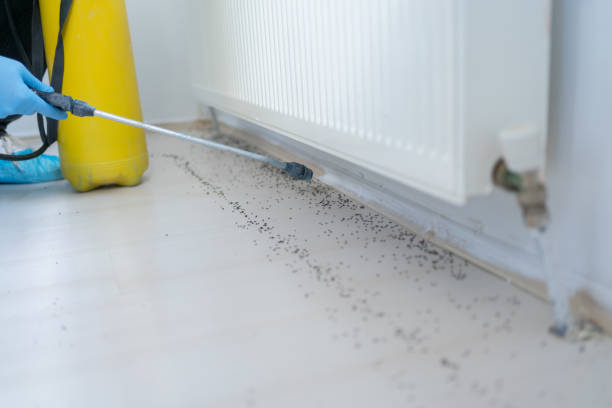 Best Pest Prevention Services  in Brookfield Center, OH