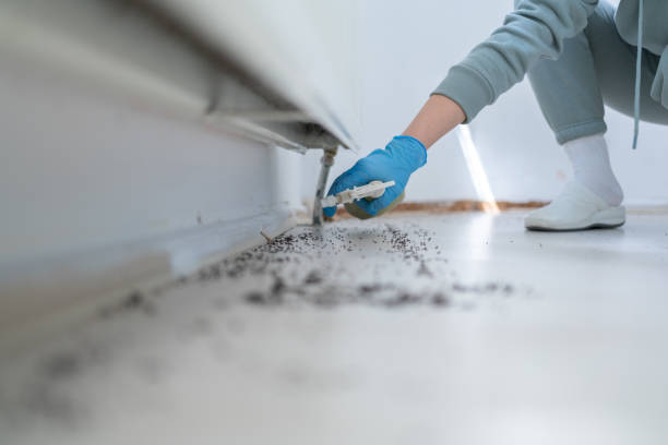Best Mosquito Control Services  in Brookfield Center, OH