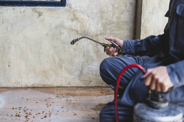 Best Local Pest Control Services  in Brookfield Center, OH